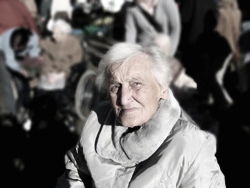 Elderly Historian